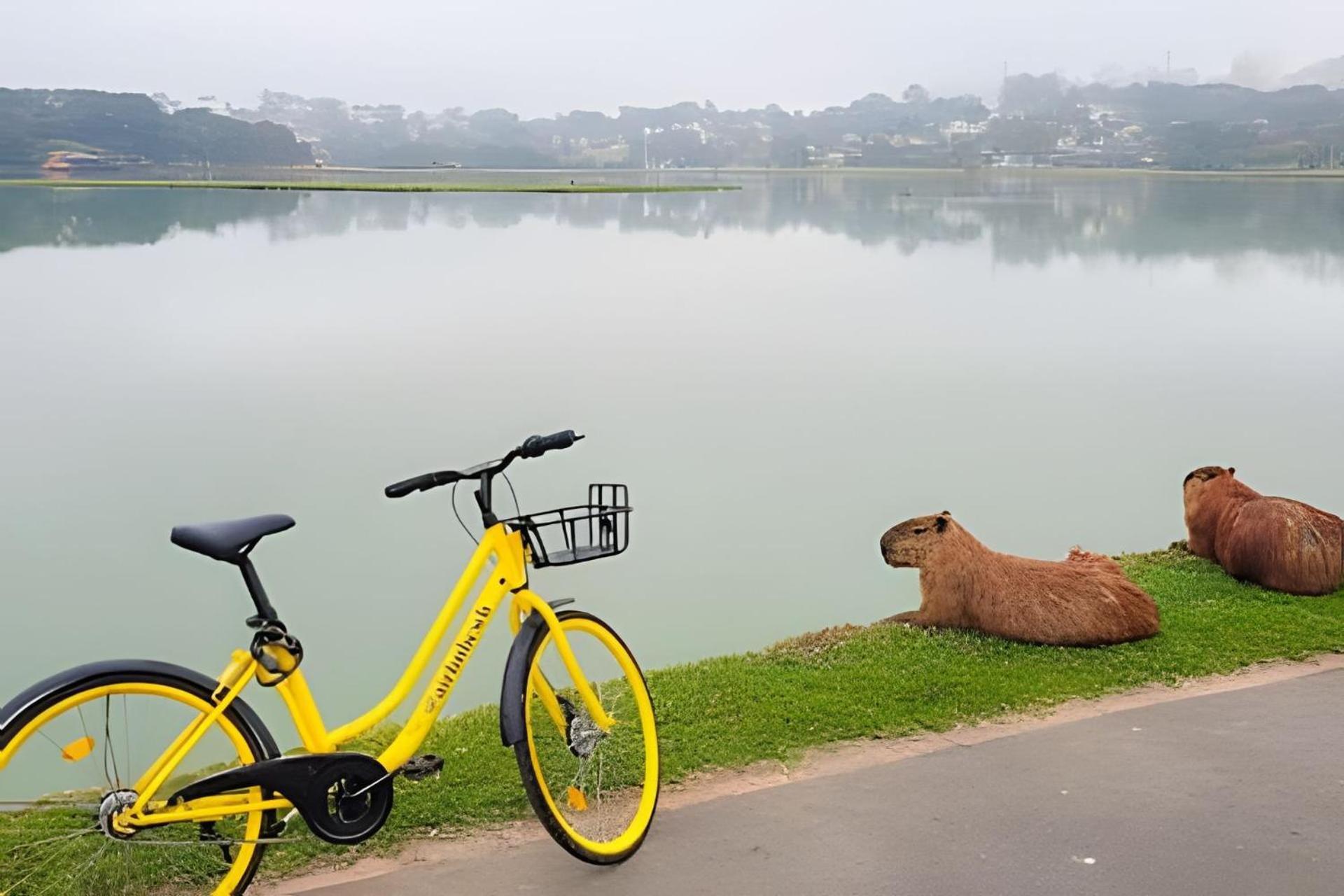 Conforto No Bigorrilho, Petfriendly, Garagem * Curitiba
