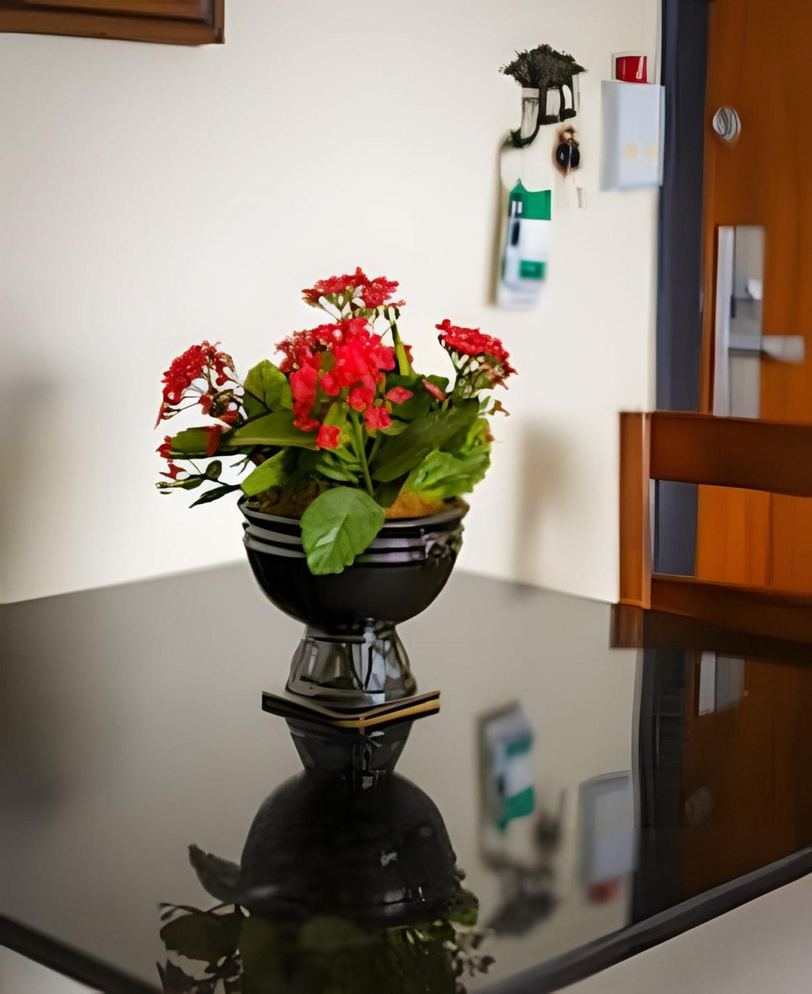 Conforto No Bigorrilho, Petfriendly, Garagem Apartamento